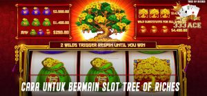 Cara Untuk Bermain Slot Tree of Riches